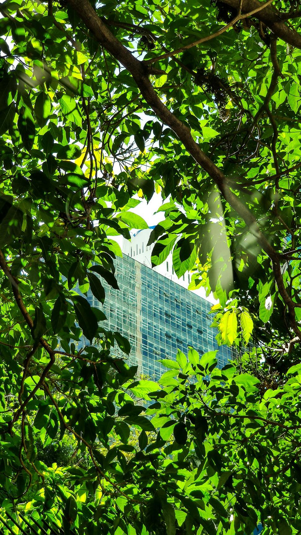 Greenway Office Complex