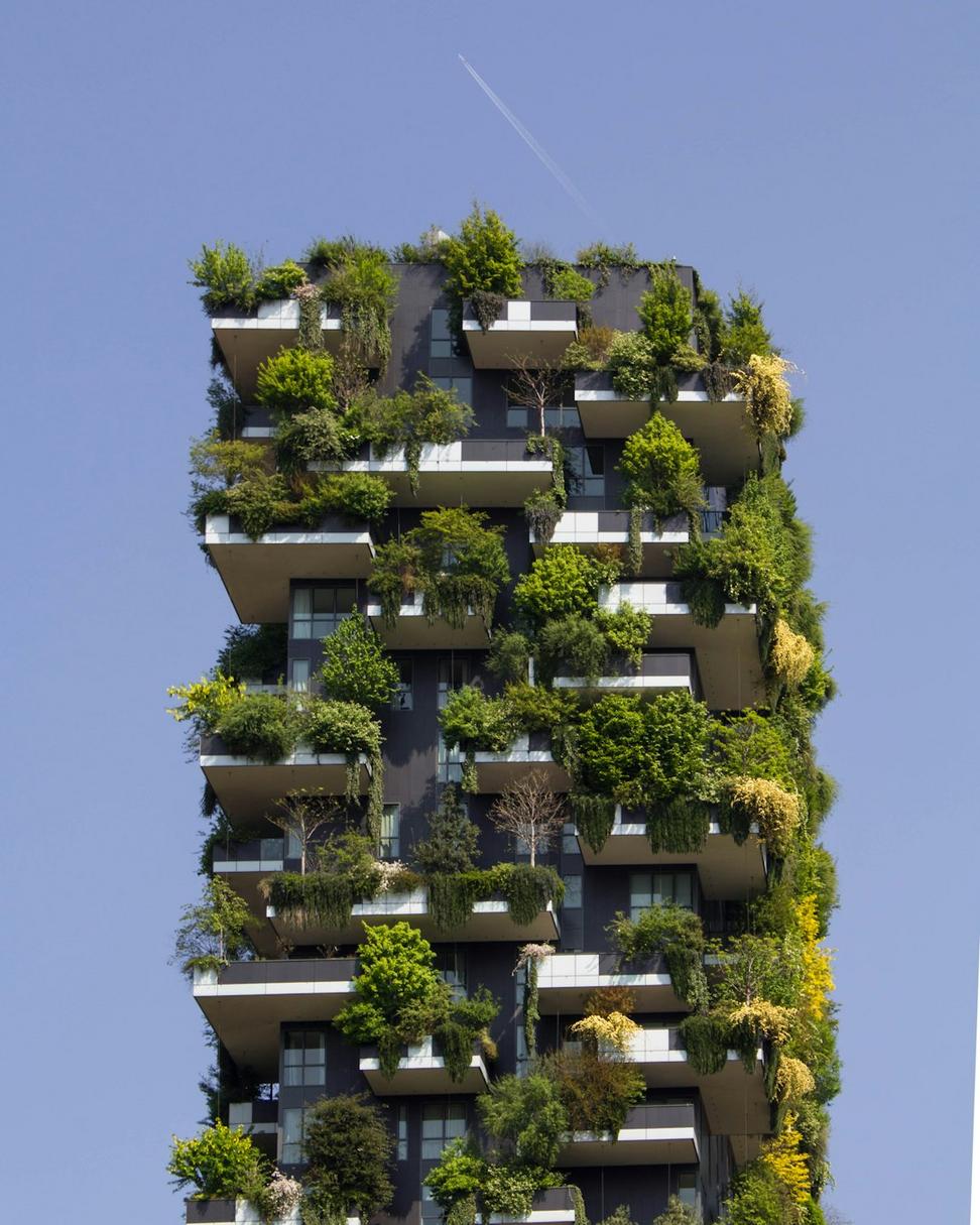Port Credit Eco-Home